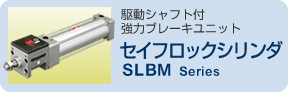 ZCtbNV_ SLBM series