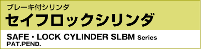ZCtbNV_SLBM